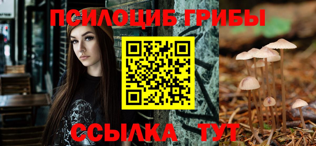 Галлюциногенные грибы Psilocybe Рассказово